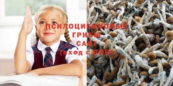 спайс Богданович